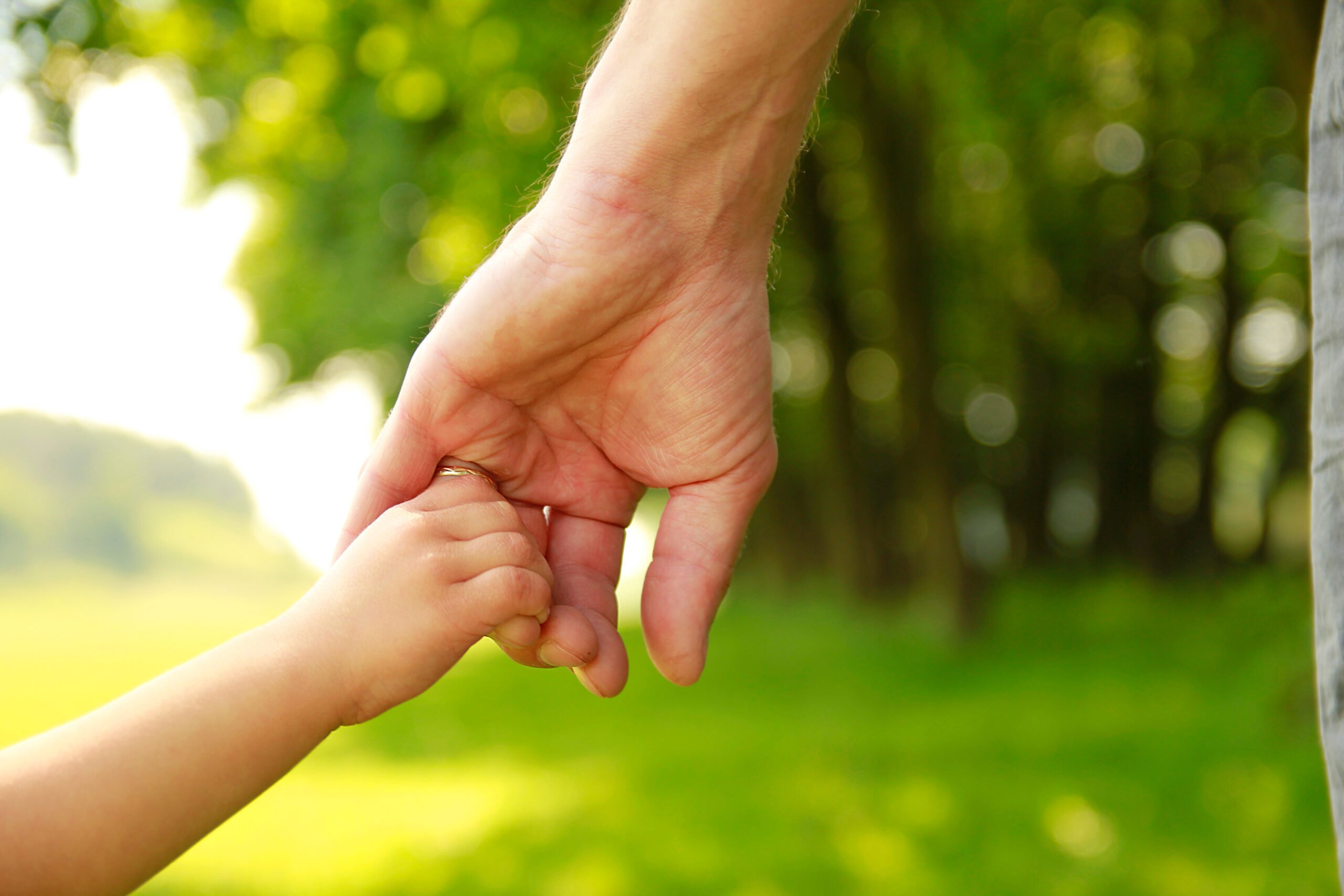 a parent holds the hand of a small child